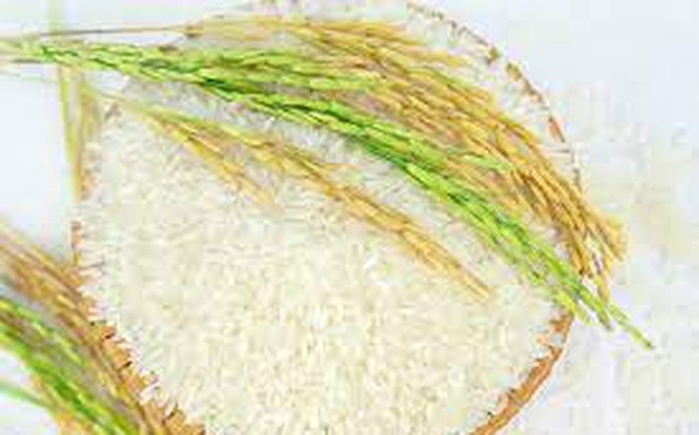 Nhu cầu gạo thơm tại Mỹ tăng mạnh – cơ hội cho xuất khẩu gạo Việt Nam