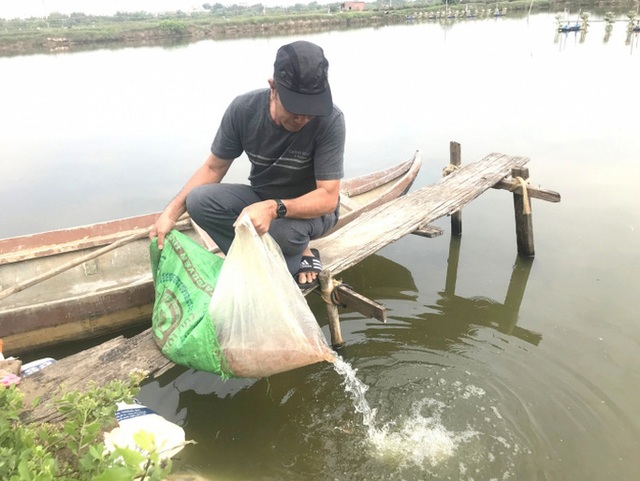 Tôm nuôi chết hàng loạt vì sốc môi trường - Ảnh 1.