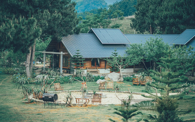 Mô hình homstay, farmstay từng được coi là "gà đẻ trứng vàng".(ảnh minh họa)