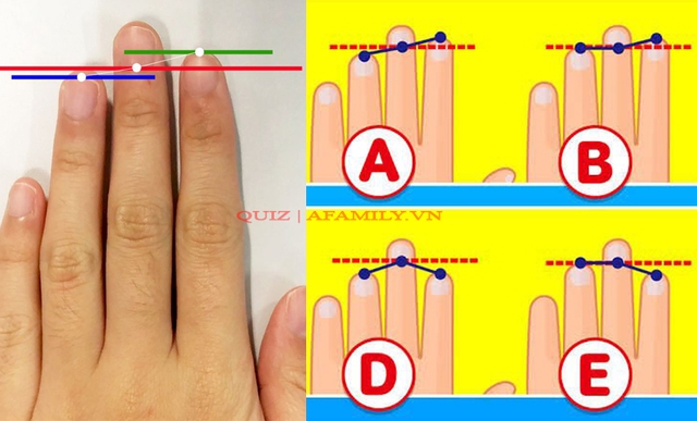  Bài kiểm tra tư duy hot nhất Nhật Bản: Chỉ cần dựa vào chiều dài của 3 ngón tay là có thể biết được bạn là người như thế nào?  - Ảnh 1.
