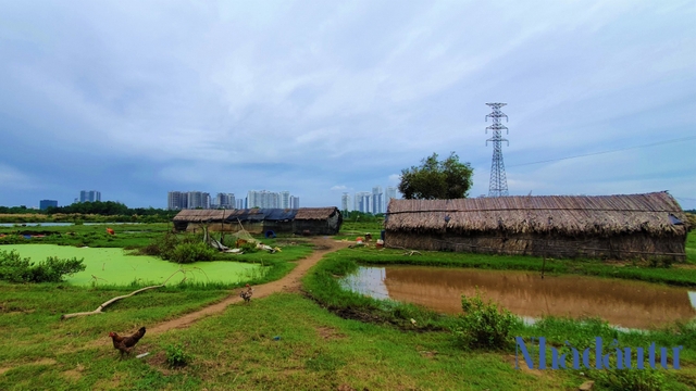 Đầu tư hàng ngàn tỷ đồng, dự án Phước Kiển của Quốc Cường Gia Lai vẫn chỉ là bãi đất trống - Ảnh 10.