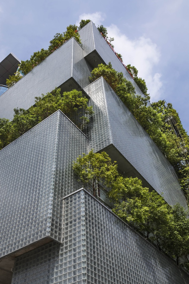Công trình đỉnh cao của KTS Võ Trọng Nghĩa đạt giải kiến trúc danh giá: Tòa nhà thủy tinh kết hợp cây xanh, tối ưu hóa điều kiện khí hậu và tầm nhìn giữa lòng thành phố - Ảnh 4.