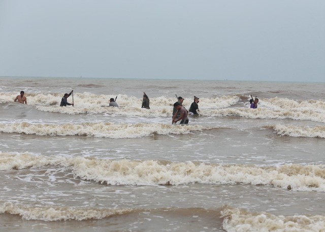 Sò trôi theo sóng vào bờ, trăm người đổ ra biển vớt - Ảnh 2.