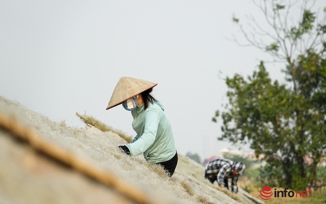 Làng miến So tất bật chuẩn bị hàng Tết, tháng cao điểm có thể lãi tiền tỷ