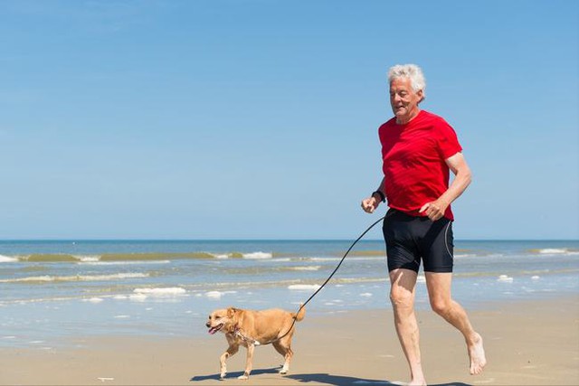 Sau 65 tuổi, cơ thể xuất hiện những dấu hiệu là hiện tượng lão hóa bình thường: Ghi nhớ 3 nguyên tắc VÀNG để trường thọ - Ảnh 3.
