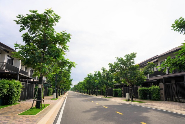 Nhà đầu tư đang đổ tiền vào phân khúc nhà phố, biệt thự vùng lân cận Sài Gòn - Ảnh 2.