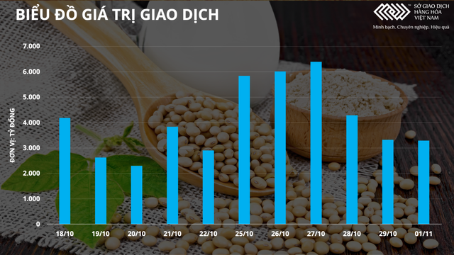 Nông sản đón dòng tiền mới, giá bông lập đỉnh 10 năm - Ảnh 1.