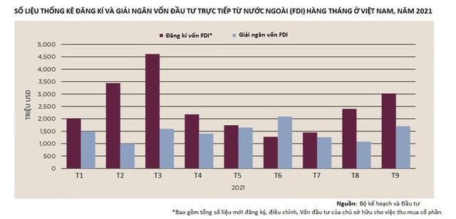 Doanh nghiệp ngoại đua nhau rót vốn vào bất động sản Việt Nam trong dịch - Ảnh 1.