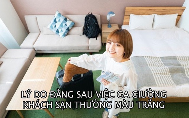 Tại sao các khách sạn thường dùng ga gối màu trắng dù đây là màu dễ bẩn nhất?