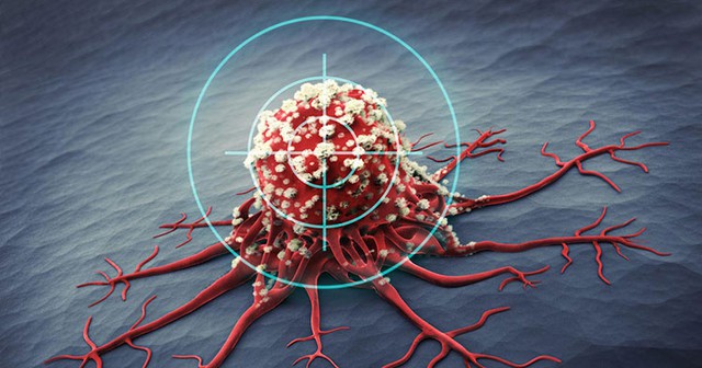 5 đặc điểm của một người có cơ thể miễn dịch với bệnh ung thư, chỉ cần có 2/5 thôi bạn cũng đã rất may mắn, tế bào ung thư sẽ không thể tấn công bạn - Ảnh 1.