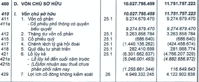 Hoàng Anh Gia Lai lên tiếng hồi tố khoản lỗ luỹ kế 5.046 tỷ: Do thiếu nhân lực và quá tin vào tiềm năng của các vườn cây ăn quả - Ảnh 3.