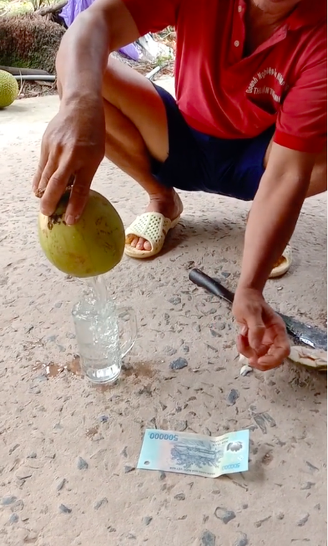 Ly nước dừa đắt nhất Việt Nam hôm nay, muốn uống phải mất 500k đầy chua chát? - Ảnh 3.