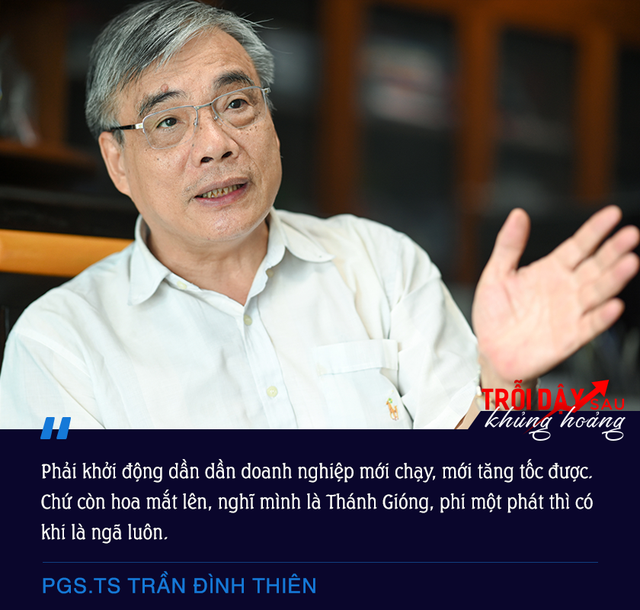 PGS.TS Trần Đình Thiên: Doanh nghiệp đứng dậy cần phải dần dần, không thể nghĩ mình là Thánh Gióng - Ảnh 6.