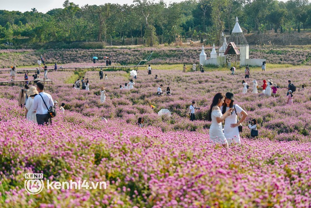 Ảnh: Điểm danh những vườn hoa hot nhất Hà Nội đang được giới trẻ rần rần kéo đến check in - Ảnh 12.