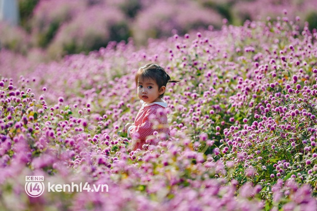 Ảnh: Điểm danh những vườn hoa hot nhất Hà Nội đang được giới trẻ rần rần kéo đến check in - Ảnh 16.