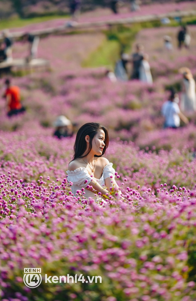 Ảnh: Điểm danh những vườn hoa hot nhất Hà Nội đang được giới trẻ rần rần kéo đến check in - Ảnh 17.
