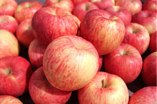 Phụ nữ mỗi sáng đều ăn 1 quả táo khi bụng đói, 7 ngày sau cơ thể sẽ nhận được những thay đổi tuyệt vời cho cả làn da lẫn vóc dáng - Ảnh 3.