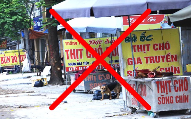 Báo Trung Quốc đưa tin việc Hội An trở thành thành phố đầu tiên của Việt Nam nói không với thịt chó mèo