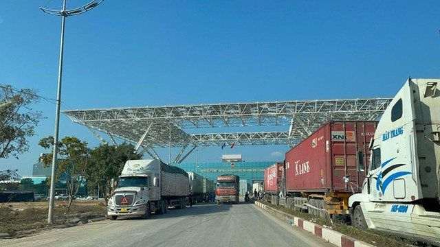 Hơn 1.000 container nông sản mắc kẹt tại cửa khẩu Móng Cái - Ảnh 8.