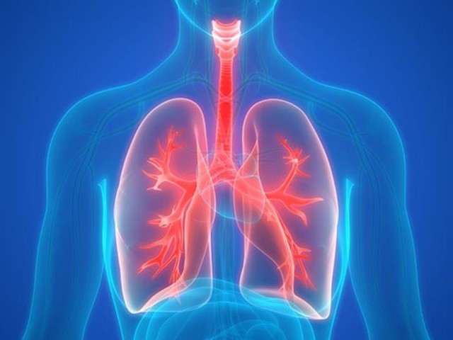 5 bất thường tưởng không liên quan nhưng là dấu hiệu phổi đang SUY YẾU: 4 lưu ý để dưỡng phổi tốt, sinh khí lưu thông, kéo dài tuổi thọ - Ảnh 1.