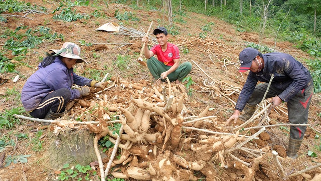 Trung Quốc gom gần 2 triệu tấn sản phẩm này của Việt Nam để làm gì? - Ảnh 2.