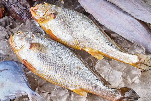 Ăn cá rất tốt nhưng có 4 loại cá siêu nguy hiểm cần tránh tiêu thụ, nên ăn cá theo 3 cách này để bồi bổ gấp bội - Ảnh 3.
