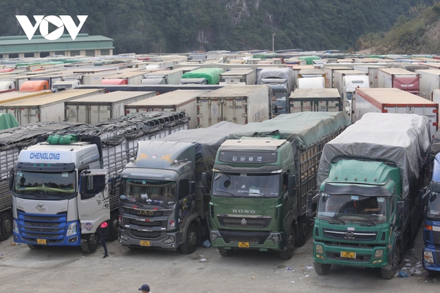 Lạng Sơn: Nông sản xuất khẩu ùn ứ phải bán đổ, bán tháo - Ảnh 4.