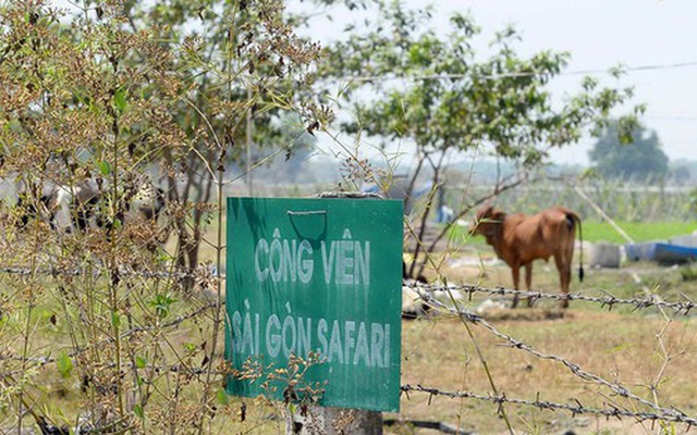 Huyện Củ Chi kiến nghị dừng dự án Sài Gòn Safari chuyển thành Khu công nghiệp kỹ thuật cao