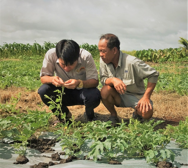 Lộc Trời: Đằng sau sự chấm dứt với Syngenta và mô hình nhà máy 1 triệu ha sản xuất ‘Just in time’ - Ảnh 11.