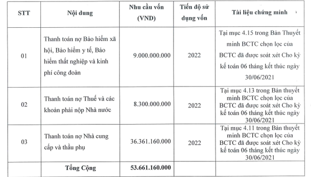 Địa ốc Tân Kỷ (TKC) triển khai chào bán hơn 5 triệu cổ phiếu huy động vốn để thanh toán các khoản nợ - Ảnh 1.