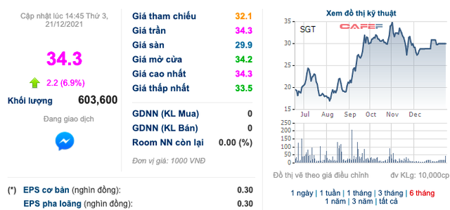 Saigontel (SGT) muốn chào bán 74 triệu cổ phiếu giá 10.000 đồng/cp, tăng vốn lên gấp đôi - Ảnh 2.