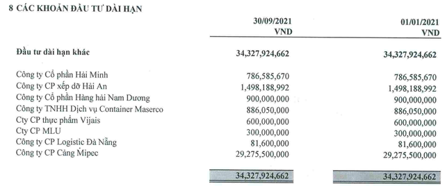 Maserco (MAC) lên kế hoạch bán HAH, ước lãi hơn 9 lần khoản đầu tư ban đầu - Ảnh 1.