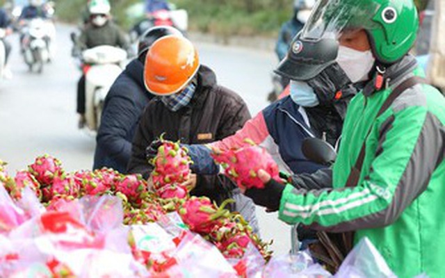 Trung Quốc dừng nhập khẩu thanh long