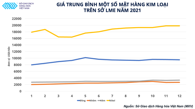 Nhảy múa trong năm 2021, lực cản nào sẽ đổi hướng giá kim loại công nghiệp năm 2022? - Ảnh 1.