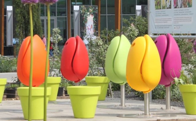Những chiếc ghế hoa tulip mọc lên khắp nơi trên đường phố Hà Lan: Vừa bền, vừa đẹp lại đa năng - Ảnh 1.