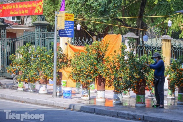 Nắng lên, tiểu thương ôm đào quất ngóng người mua - Ảnh 2.