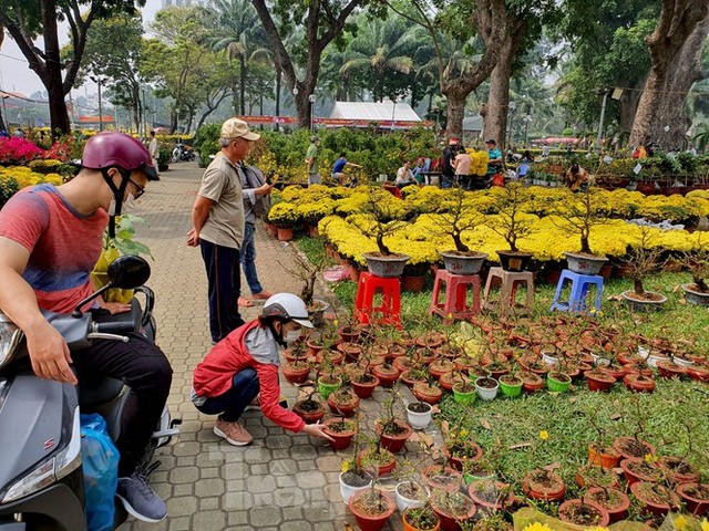 Bonsai mini độc lạ tiền triệu hút khách tại chợ hoa Tết - Ảnh 4.