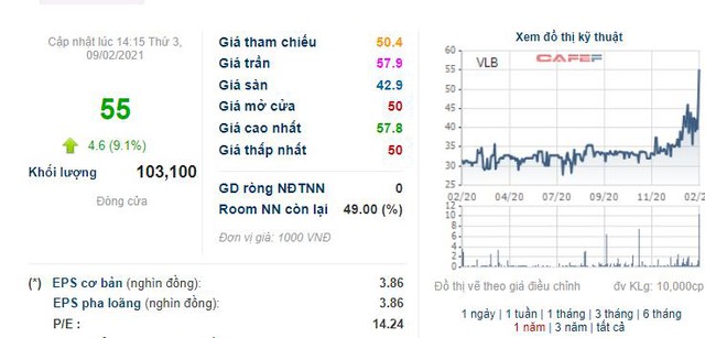 VLXD Biên Hòa (VLB): Năm 2020 lãi 182 tỷ đồng vượt 82% kế hoạch - Ảnh 2.