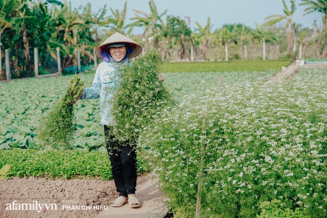 Đến tận làng trồng mùi già nghe kể về tục tắm đêm 30 của người Hà Nội để “lấy thơm” cho năm mới là như thế nào - Ảnh 17.