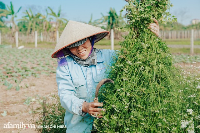 Đến tận làng trồng mùi già nghe kể về tục tắm đêm 30 của người Hà Nội để “lấy thơm” cho năm mới là như thế nào - Ảnh 8.