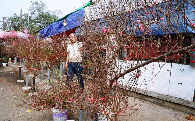 Chợ Tết Tân Sửu kém “vui” do Covid-19