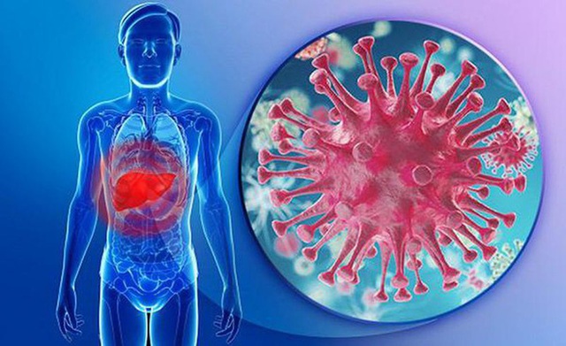  BS Việt Tại Mỹ: Virus này là kẻ giết người thầm lặng, hàng chục triệu người Việt mang - Ảnh 1.