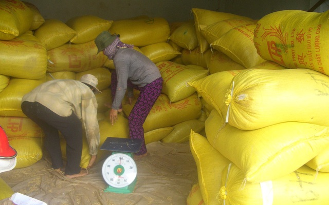 Vì sao xuất khẩu gạo Việt Nam bất ngờ giảm mạnh?