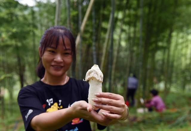 Bỏ phố về quê để khởi nghiệp với loại cây nữ hoàng này, người phụ nữ thành lập được công ty của riêng mình thu nhập 5,1 tỷ/năm - Ảnh 1.