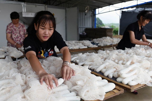 Bỏ phố về quê để khởi nghiệp với loại cây nữ hoàng này, người phụ nữ thành lập được công ty của riêng mình thu nhập 5,1 tỷ/năm - Ảnh 2.