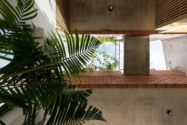 Ngôi nhà 64 m2 tại Hà Nội như một khu vườn với rau và cây ăn trái - Ảnh 7.