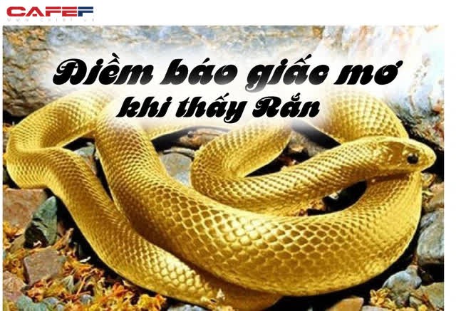 Những giấc mơ này xưa nay được cho là dấu hiệu đại biểu cho phúc khí, trong đó nước là tin tốt cho tài lộc, công danh - Ảnh 1. Những giấc mơ này xưa nay được cho là dấu hiệu đại biểu cho phúc khí, trong đó nước là tin tốt cho tài lộc, công danh - Ảnh 1.