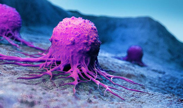 Tuổi càng cao tế bào ung thư càng “lộng hành”: Thủ phạm mới được tìm ra là một sản phẩm phụ của quá trình tiêu hóa - Ảnh 1.