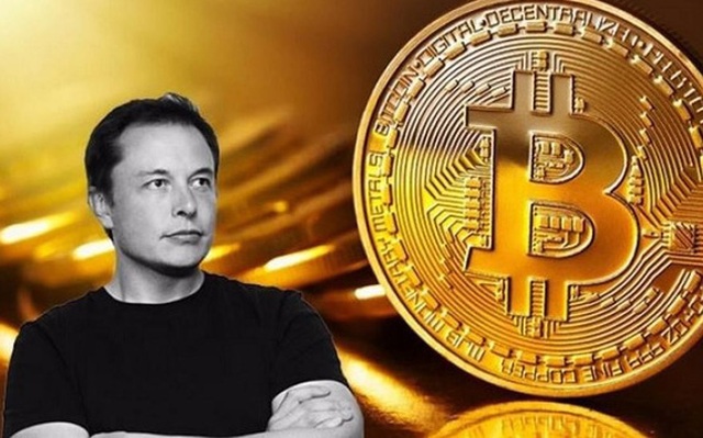 Elon Musk: Bitcoin đỡ "ngớ ngẩn" hơn tiền mặt