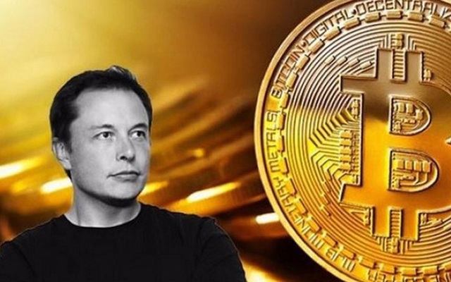 Elon Musk: Bitcoin đỡ "ngớ ngẩn" hơn tiền mặt